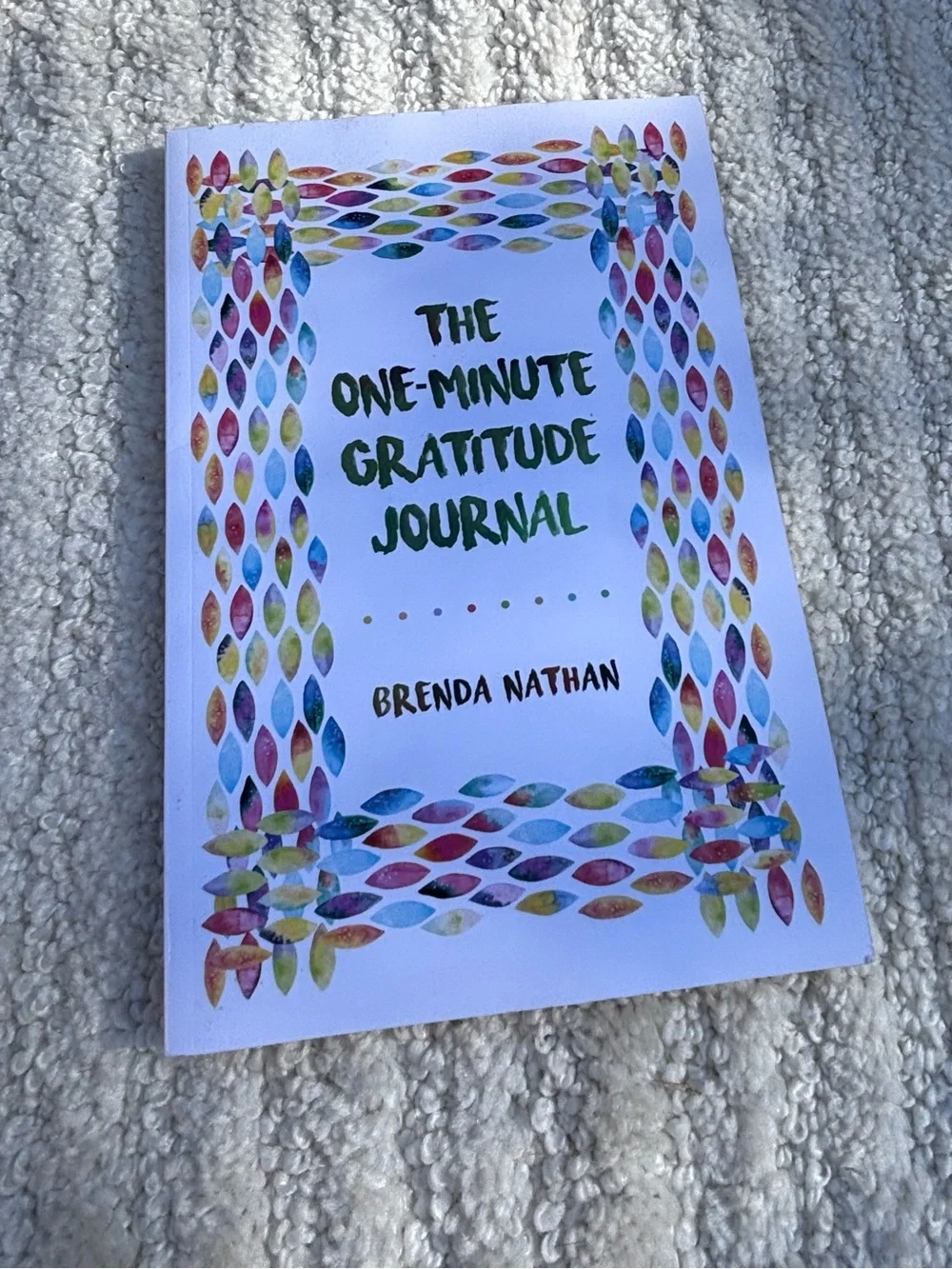 🎉BRAND NEW 🎉 The One-Minute Gratitude Journal by — Brenda Nathan